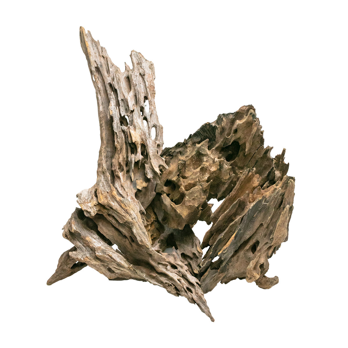 AQPET ZEN WOOD BOIS DRAGON