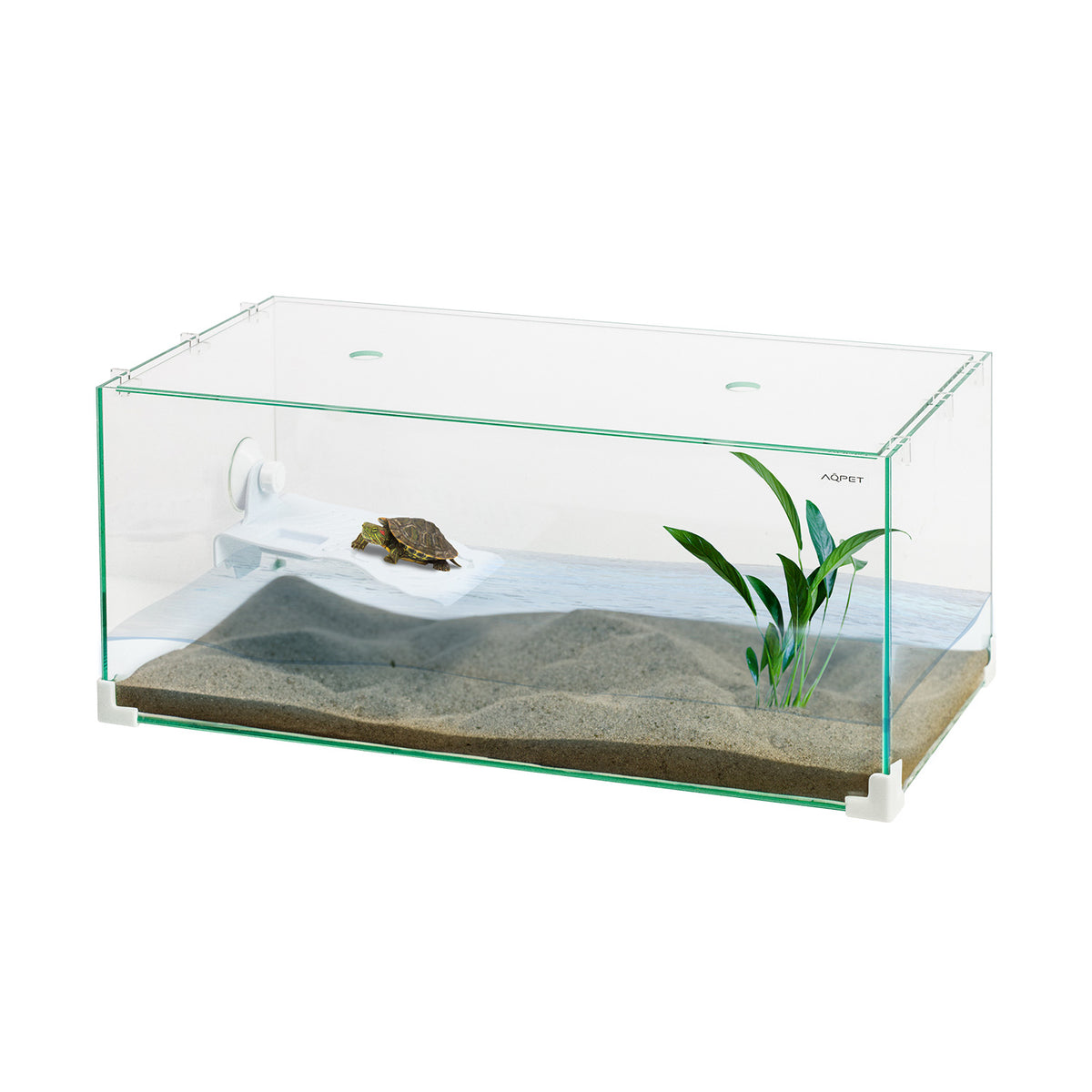 AQPET AQUATERRARIUM EN VERRE TORTUGA 60 - 60X30X25 CM AVEC ÎLOT