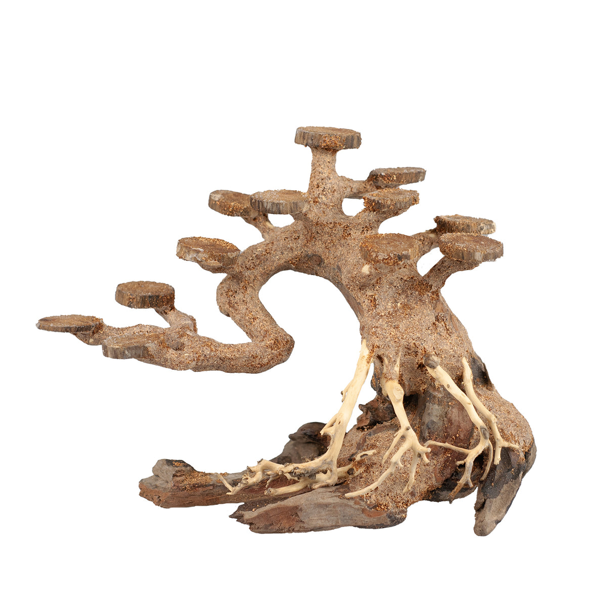 AQPET ZEN BONSAÏ ARBRE