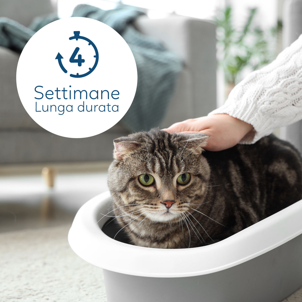 AQPET FRIENDS Litière en silice Catty parfum contrôle du pH pour chats, super absorbante, anti-odeurs, hygiène du chat