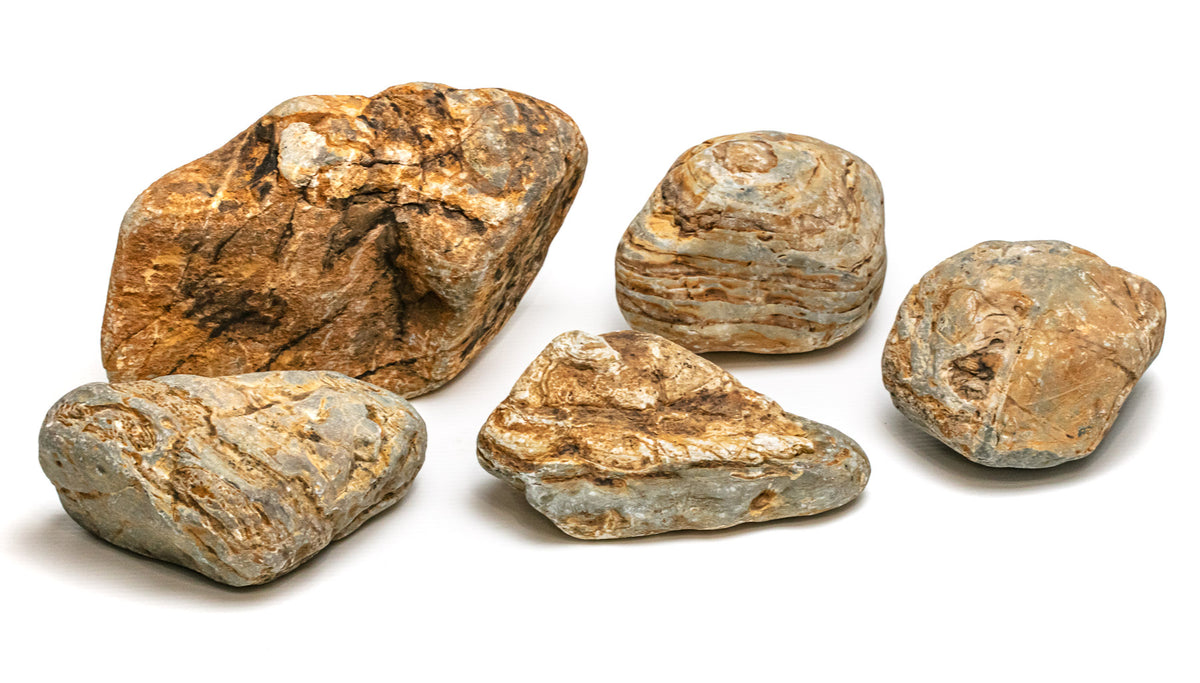 AQPET ZEN STONE ROCHES HOWLOON (CONDITIONNEMENT 20KG MIXTE) 300GR /3 KG