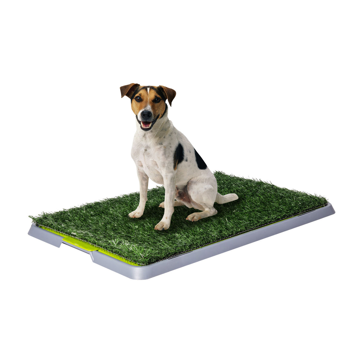 AQPET FRIENDS bac DogLitter avec herbe synthétique pour les besoins des chiots 67x42x5 cm