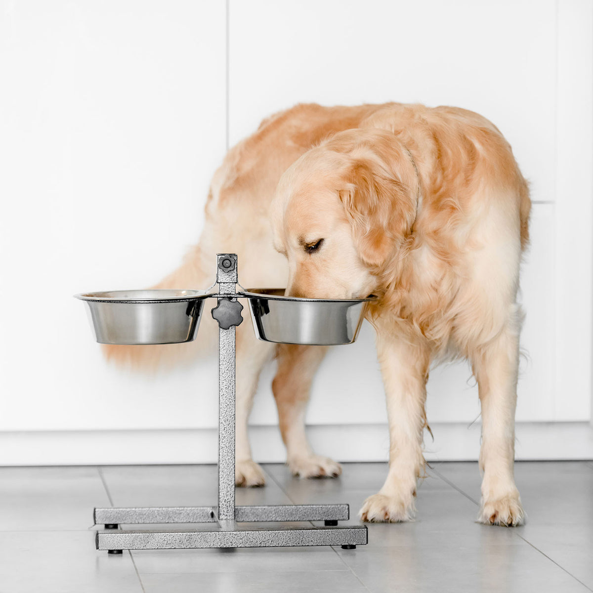 AQPET FRIENDS Gnammy Support H avec 2 écuelles surélevées en acier inoxydable, hauteur réglable, pour chiens, chats et petits animaux