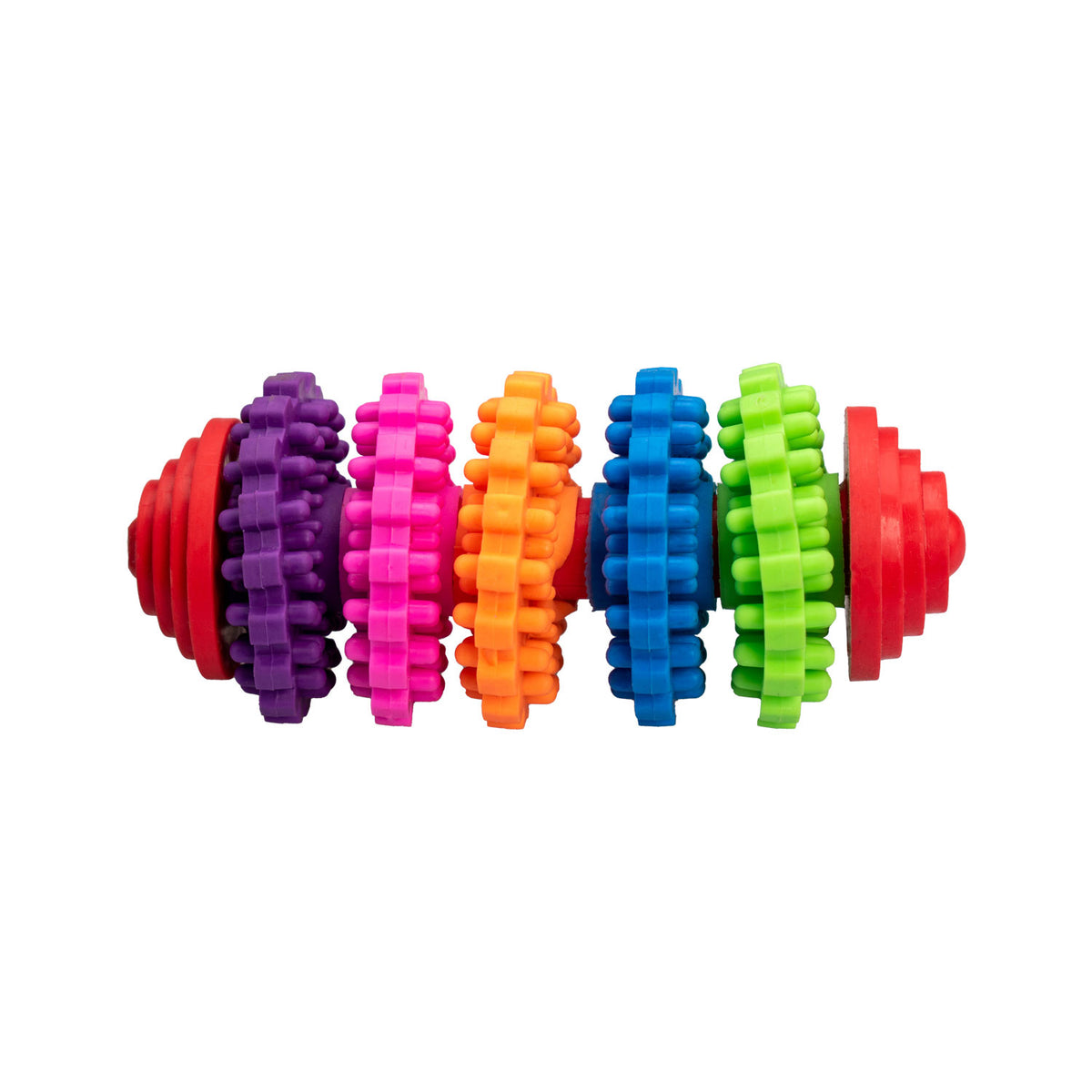 AQPET FRIENDS AQPET Jouet dentaire pour chien, cylindre coloré en caoutchouc, jouet amusant pour chien