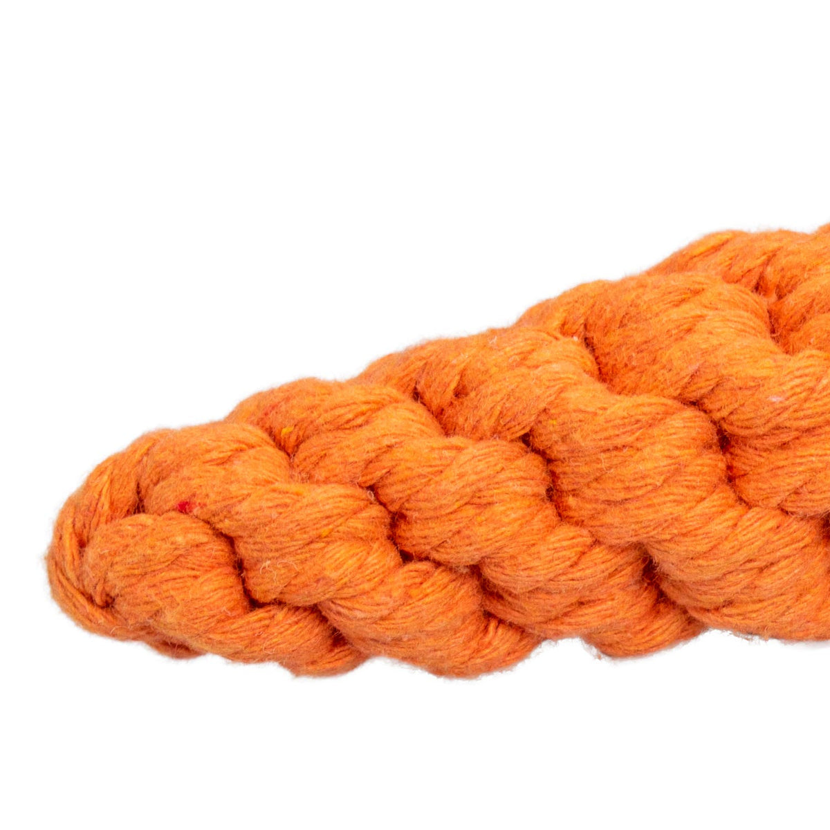 AQPET FRIENDS AQPET Jouet pour chien, carotte en corde de coton, 21 X 4CM, jouet amusant pour chien