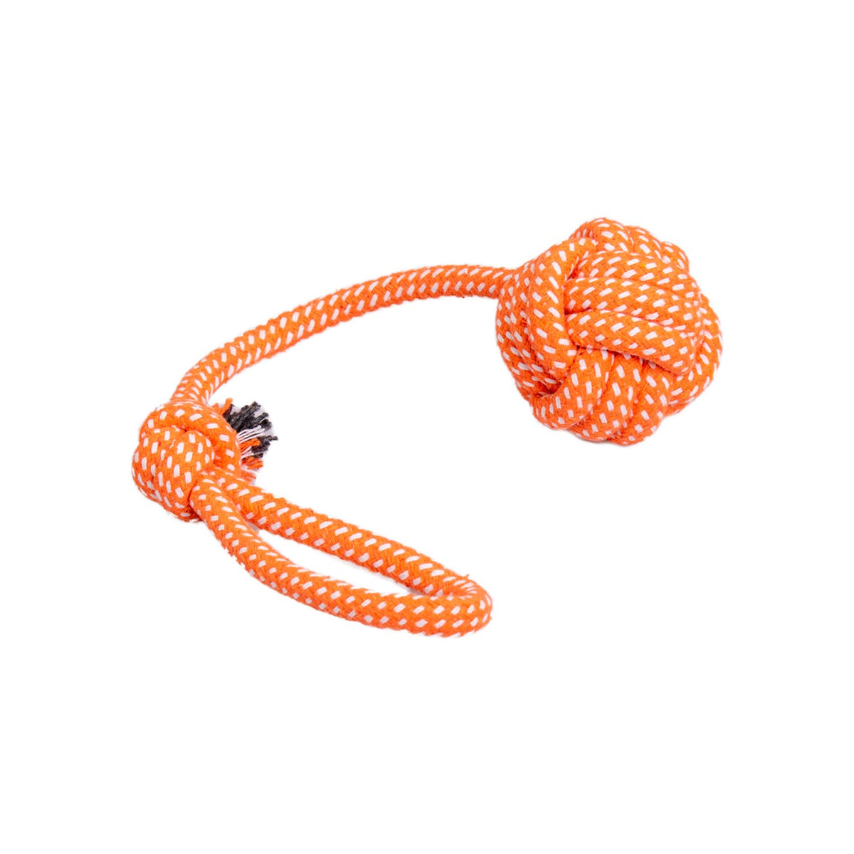 AQPET FRIENDS AQPET Jouet pour chien, corde avec balle en coton, 41 X 7 Cm, jouet amusant pour chien