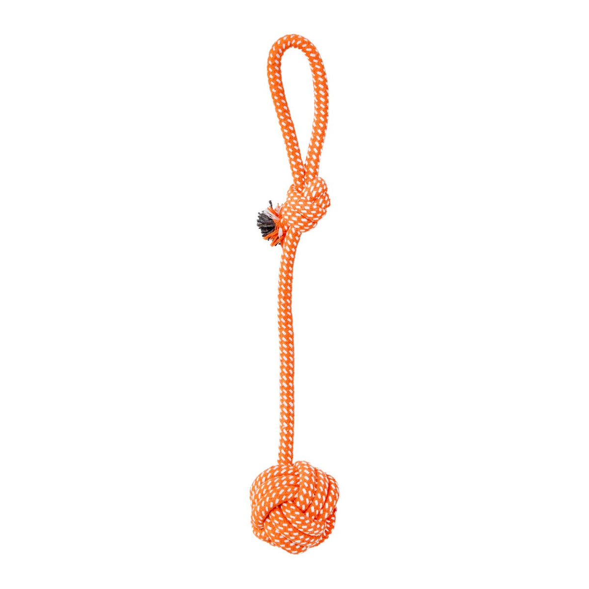 AQPET FRIENDS AQPET Jouet pour chien, corde avec balle en coton, 41 X 7 Cm, jouet amusant pour chien
