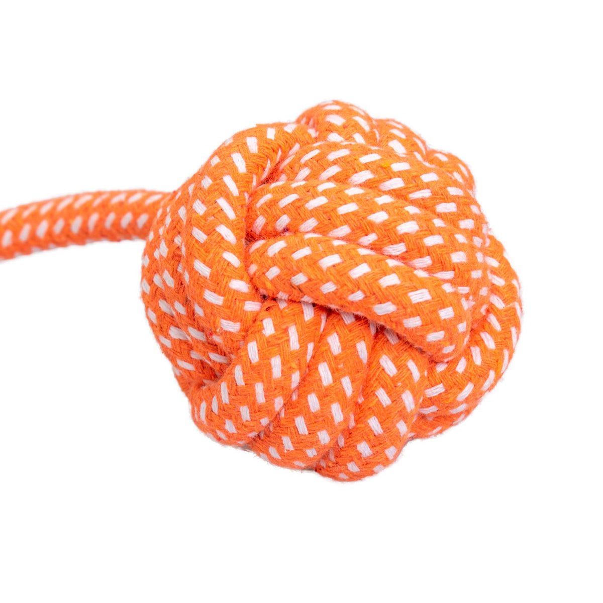 AQPET FRIENDS AQPET Jouet pour chien, corde avec balle en coton, 41 X 7 Cm, jouet amusant pour chien