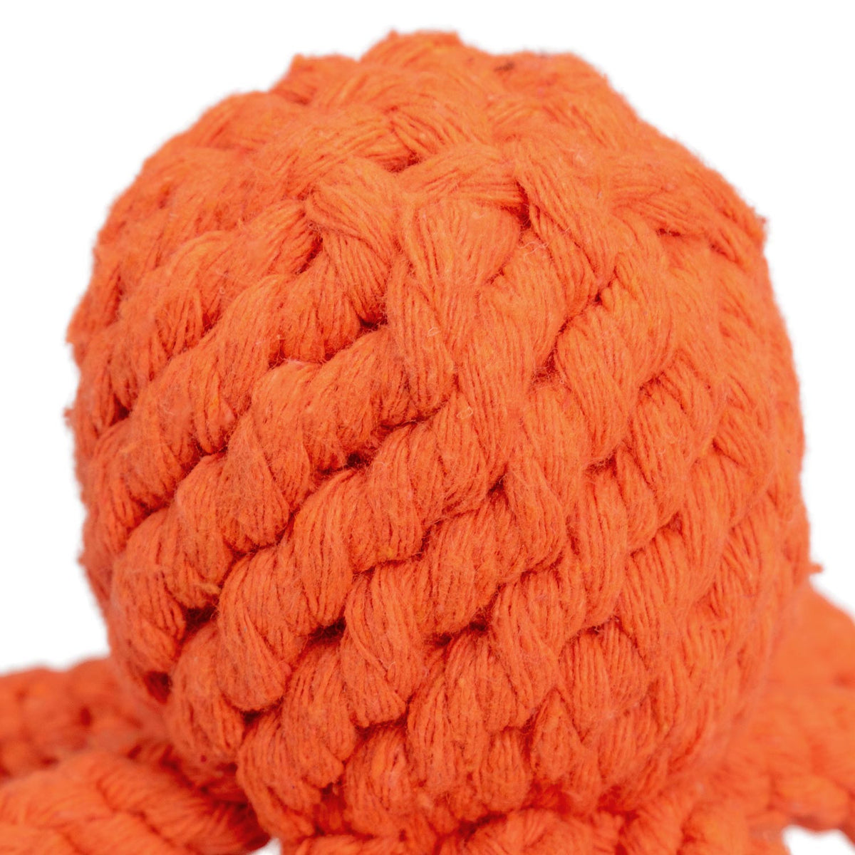 AQPET FRIENDS AQPET jouet pour chien Rope poulpe en corde de coton 10X6.5CM, jeu pour chiens, divertissement pour animaux