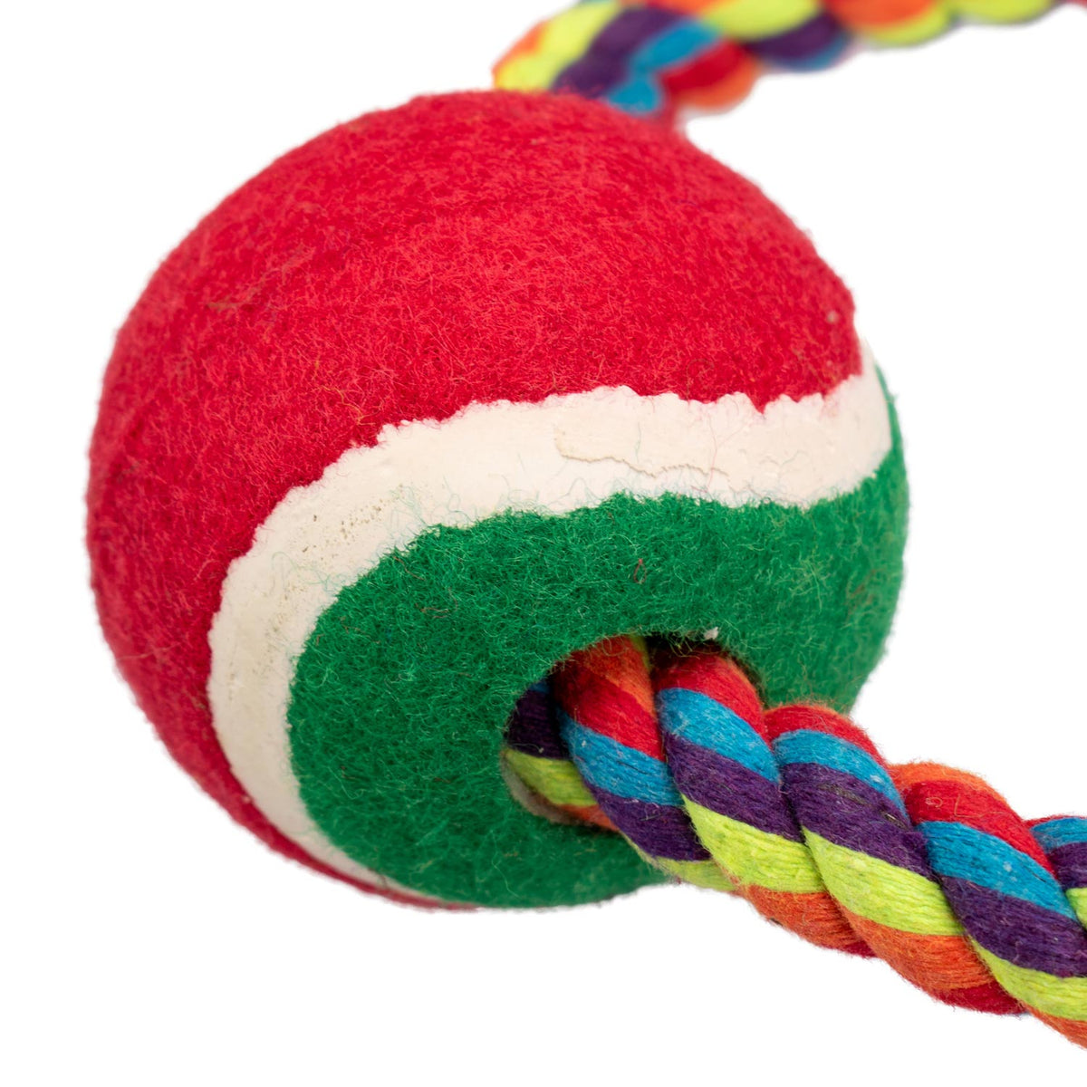 AQPET FRIENDS AQPET jouet pour chien Smarty anneau en corde avec balle 20 X 7 Cm, jeu pour chiens, divertissement pour animaux