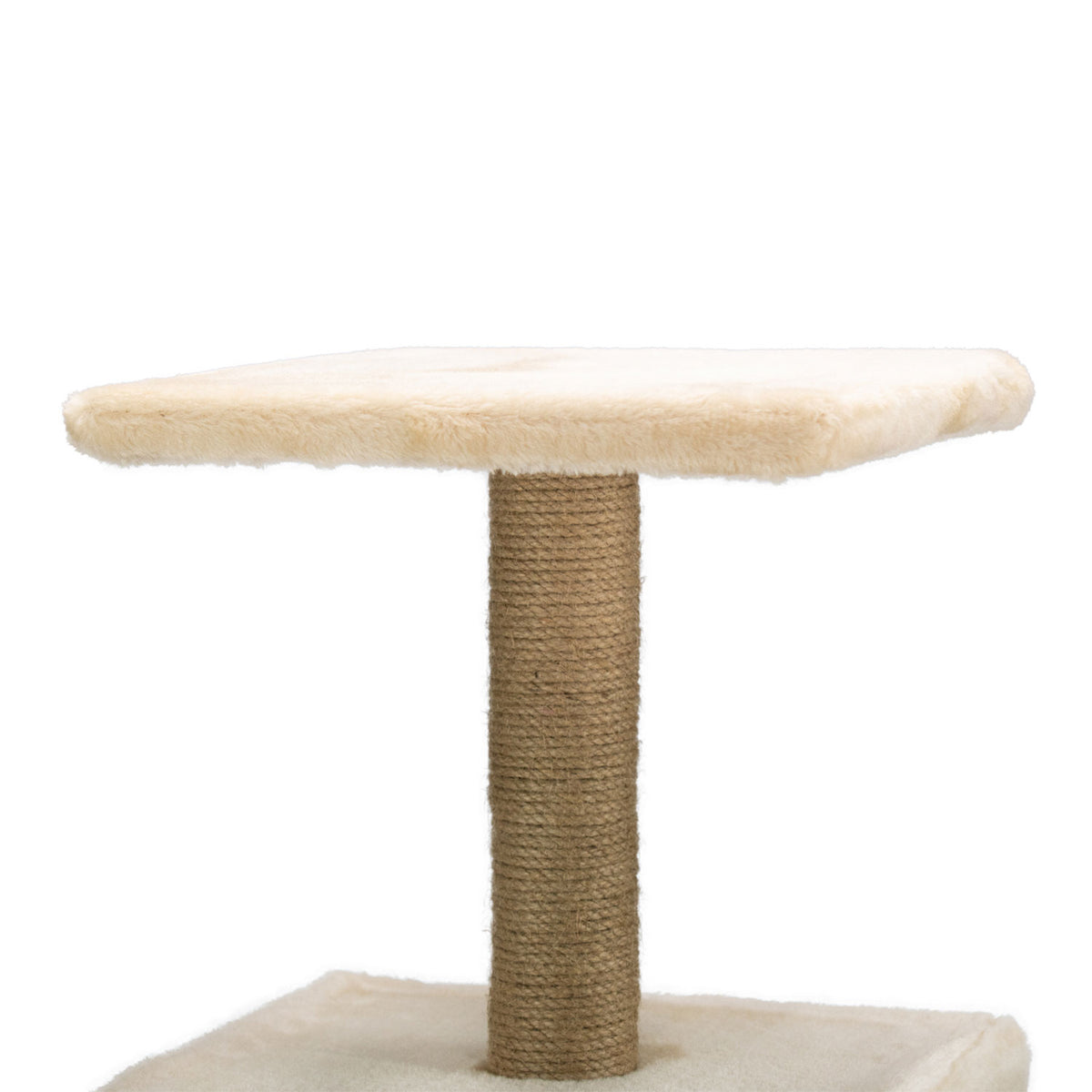 AQPET FRIENDS griffoir Oslo 53 Cm pour chats, jeu, détente et divertissement