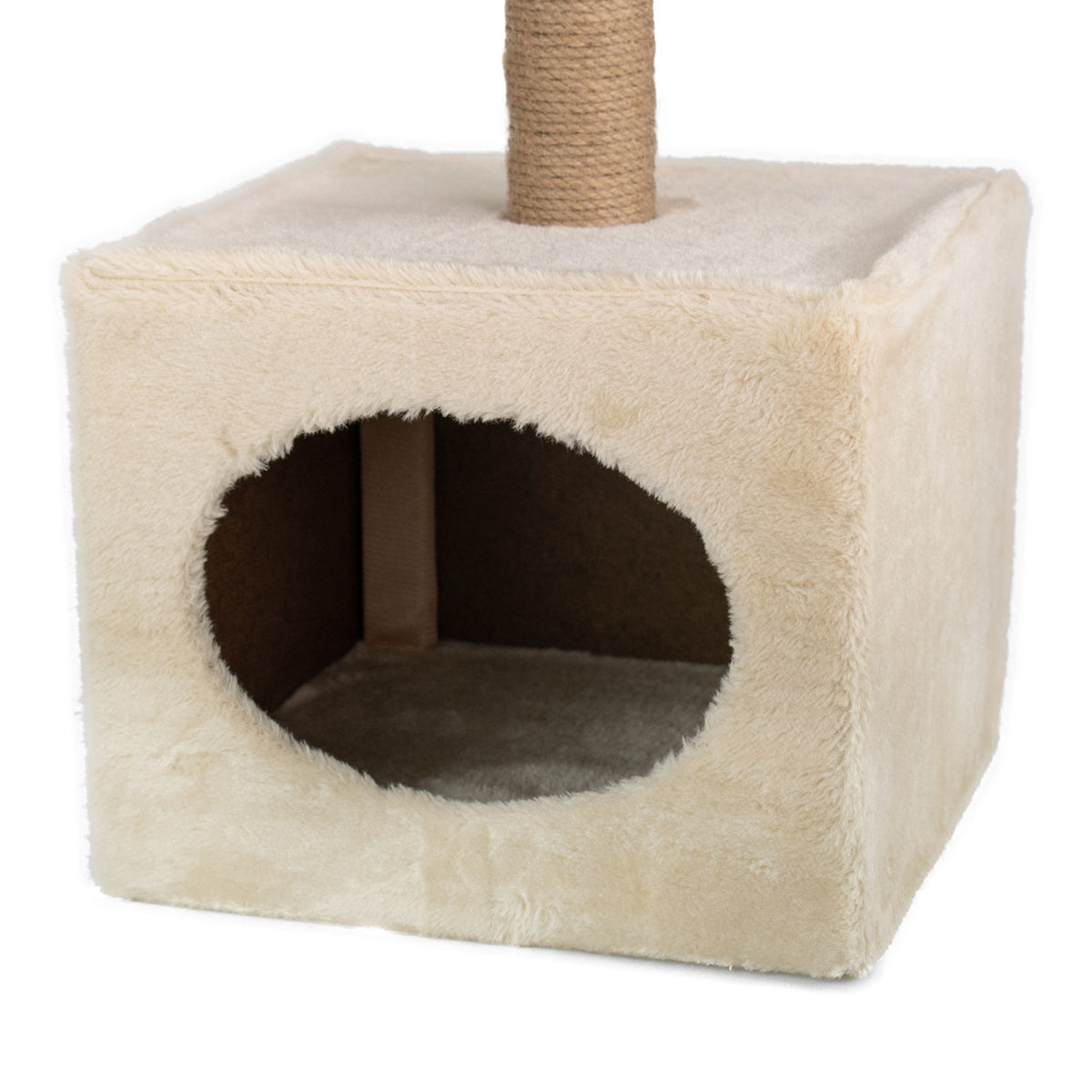 AQPET FRIENDS griffoir Oslo 53 Cm pour chats, jeu, détente et divertissement