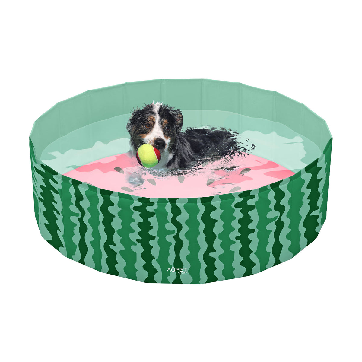AQPET FRIENDS Pool piscine pour chien, motif Fruit, pliable et anti-rayures, pour extérieur et jardin