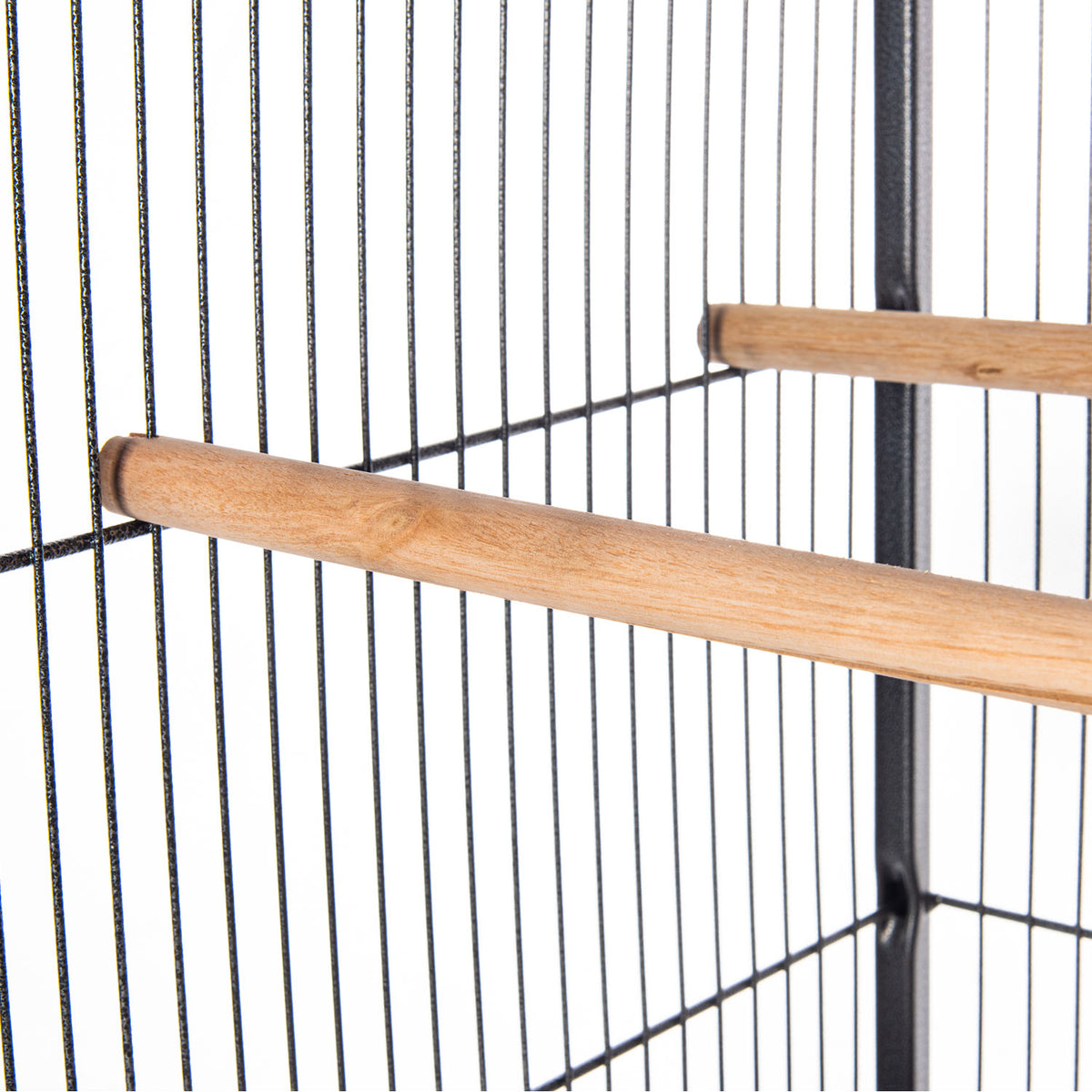 AQPET FRIENDS Volière pour canaris et oiseaux, cage complète en métal sans toit, adaptée à l’intérieur, dimensions 146x54x54 cm, couleur noire