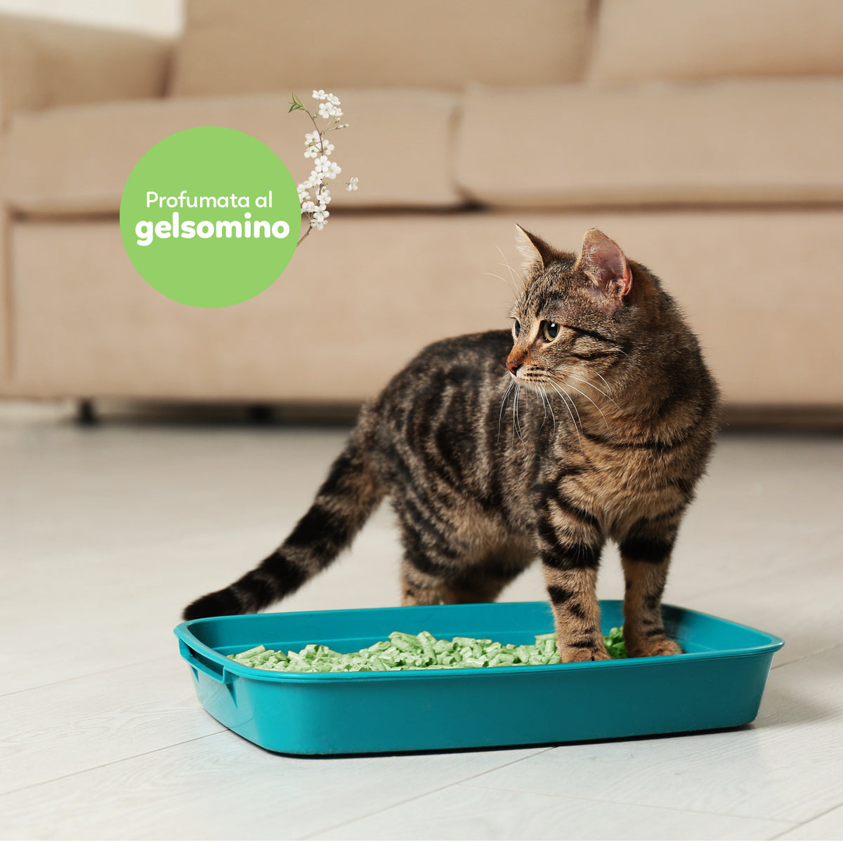 AQPET FRIENDS Catty Green litière à base de soja, parfum jasmin, 6LT, pour chats, ultra-absorbante, anti-odeurs, hygiène féline