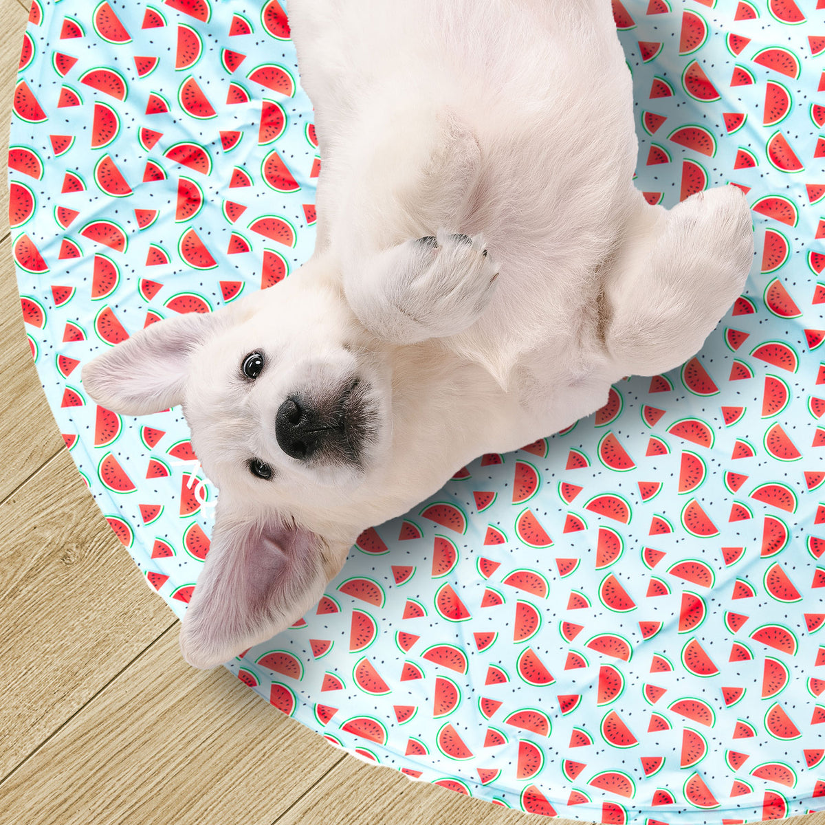 AQPET FRIENDS tapis rafraîchissant rond pour chien, gel non toxique, système d’autorefroidissement, motif Fruit, diamètre 60 Cm