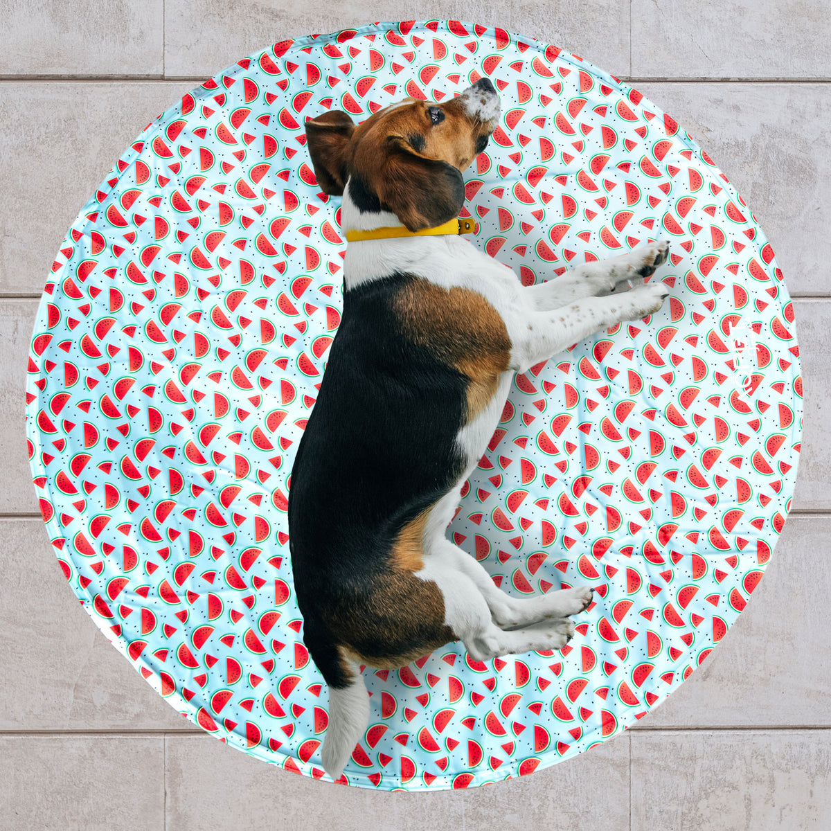 AQPET FRIENDS tapis rafraîchissant rond pour chien, gel non toxique, système d’autorefroidissement, motif Fruit, diamètre 60 Cm