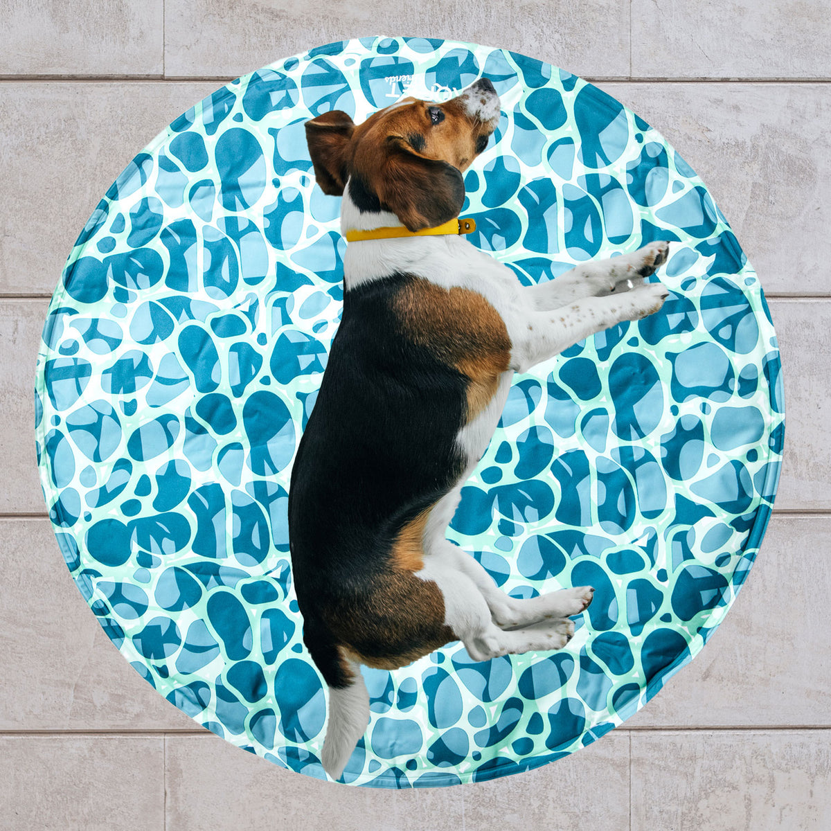 AQPET FRIENDS tapis rafraîchissant rond pour chien, gel non toxique, système d’autorefroidissement, motif Sea, diamètre 60 Cm
