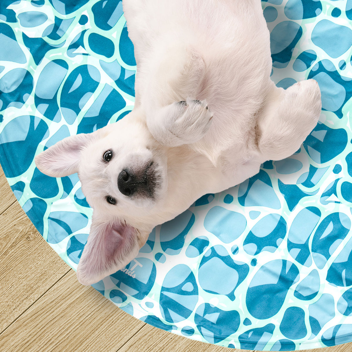 AQPET FRIENDS tapis rafraîchissant rond pour chien, gel non toxique, système d’autorefroidissement, motif Sea, diamètre 60 Cm