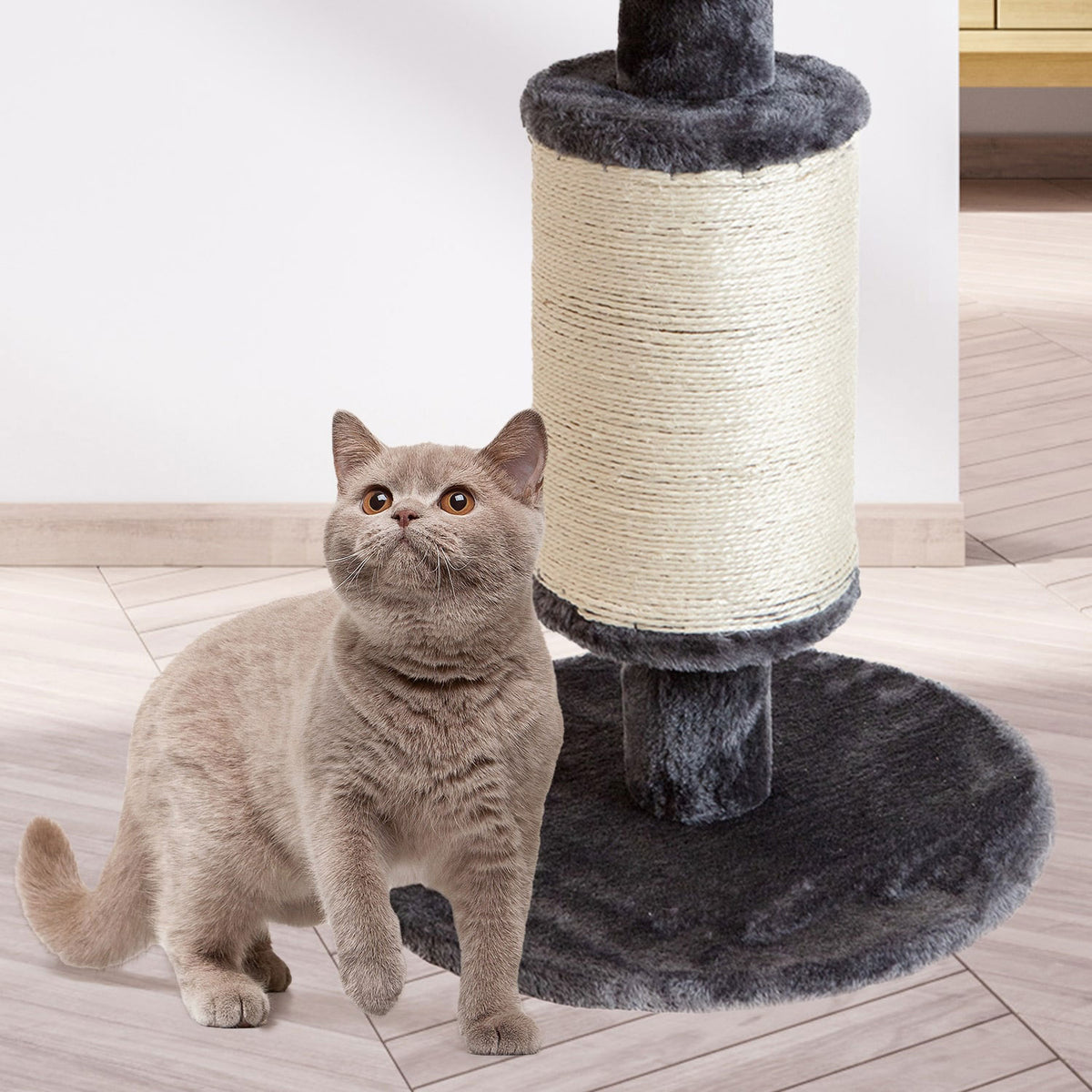 AQPET FRIENDS griffoir pour chat en sisal et tissu avec plateforme, hauteur 58 cm, pour le plus grand plaisir de votre chat, couleur grise