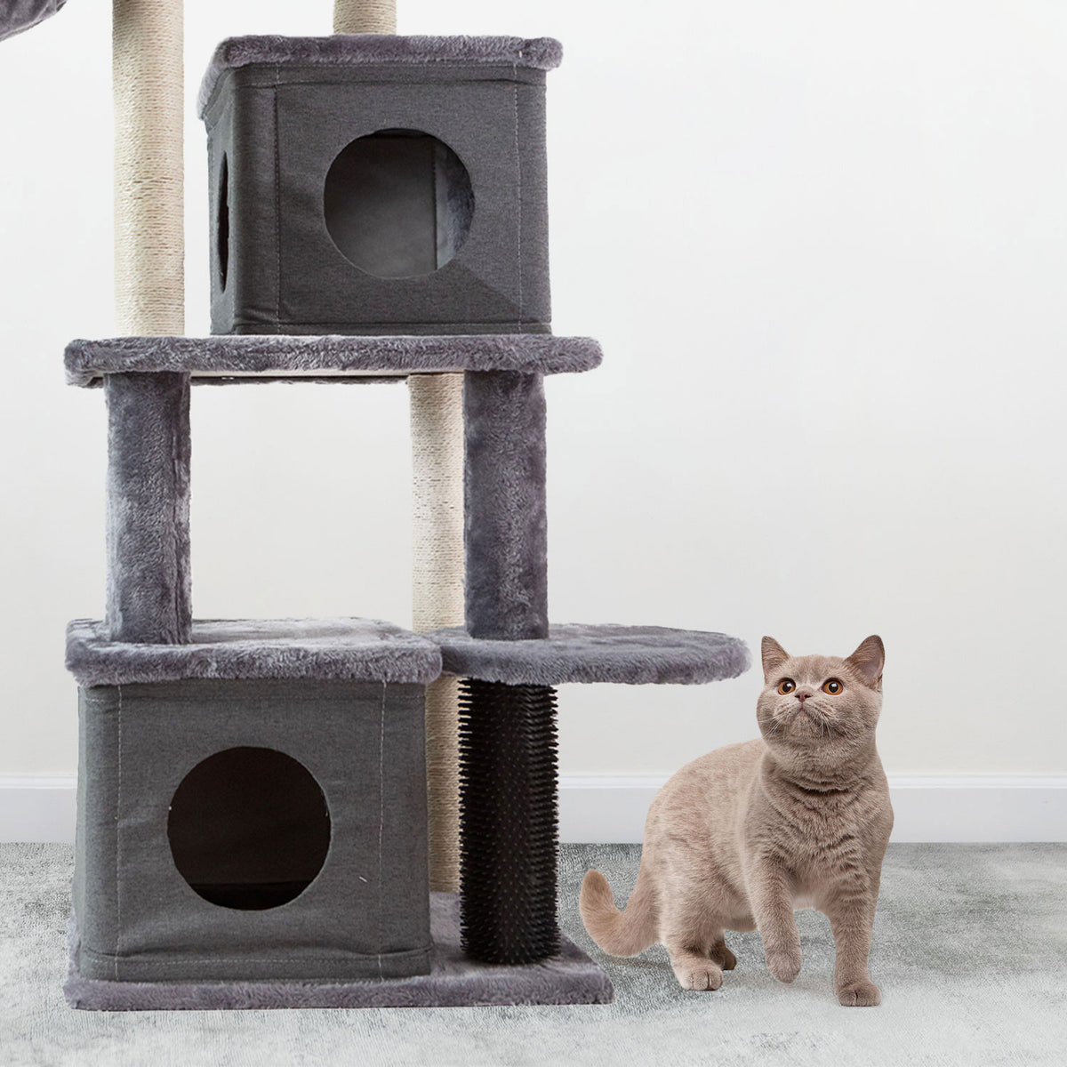 AQPET FRIENDS griffoir London 48X44X125 Cm H pour chats, jeu, détente et divertissement