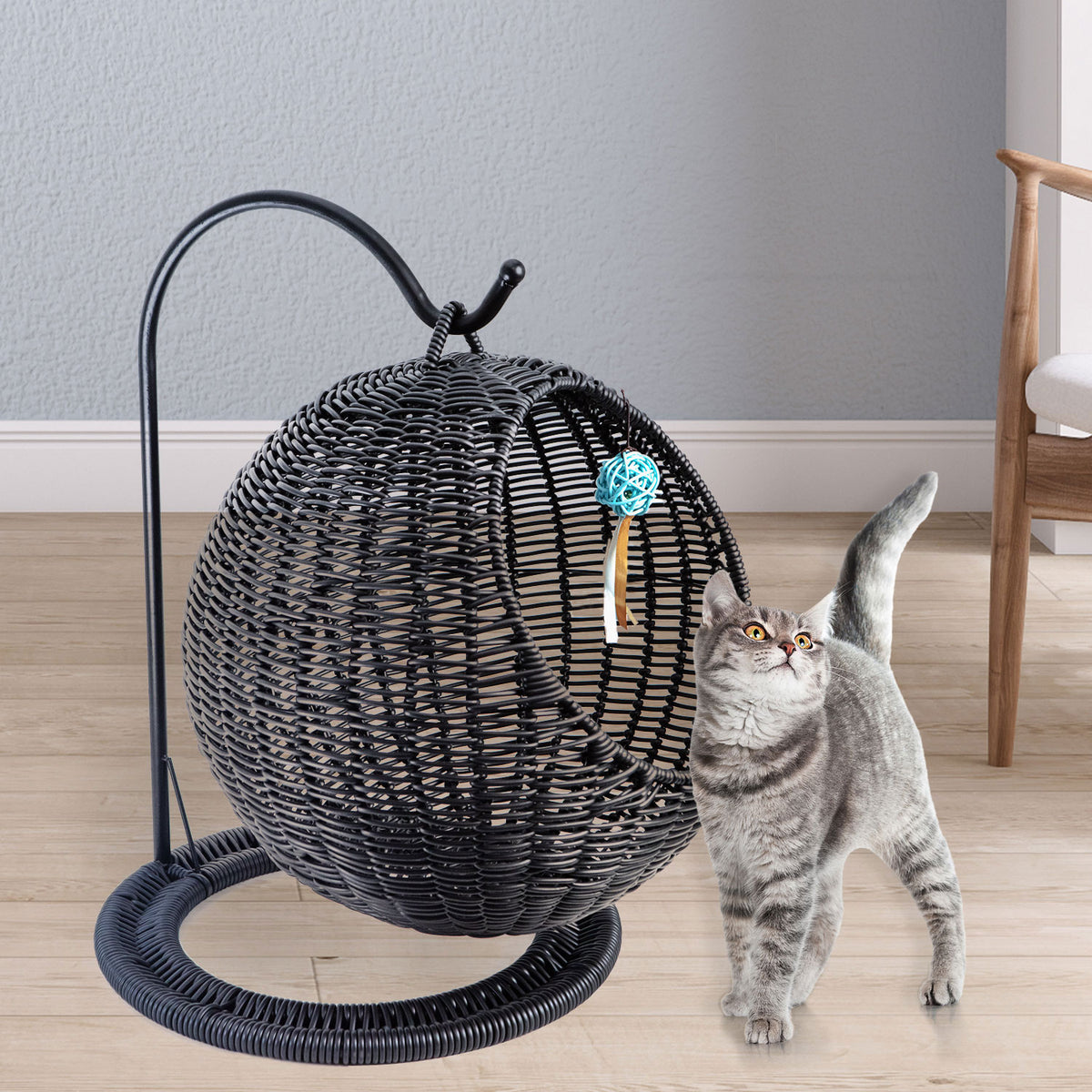 AQPET FRIENDS Morfeo panier suspendu pour chats et chatons en osier tressé à la main, avec coussin moelleux inclus, couleur noire, 46x62 cm