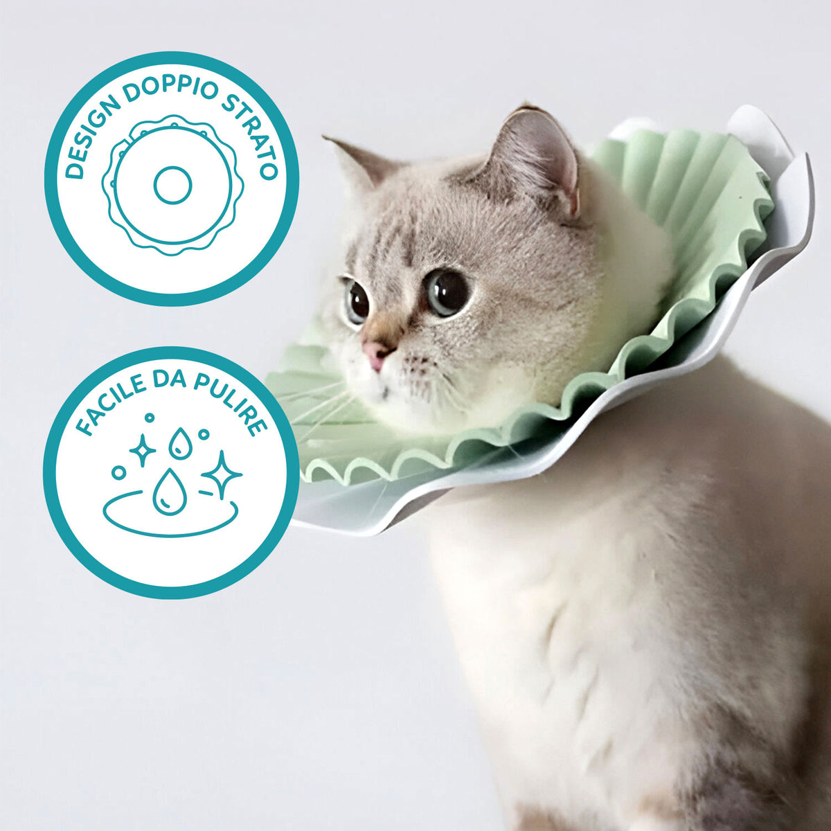 AQPET FRIENDS Collerette élisabéthaine souple pour chats et animaux, en plastique flexible et léger, double couche, réglable et confortable, protection post-opératoire et des plaies