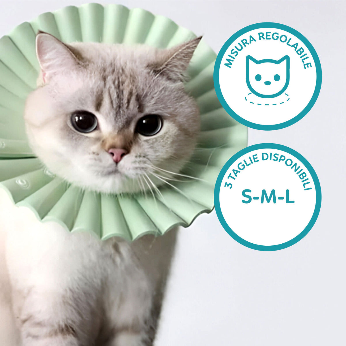 AQPET FRIENDS Collerette élisabéthaine souple pour chats et animaux, en plastique flexible et léger, double couche, réglable et confortable, protection post-opératoire et des plaies