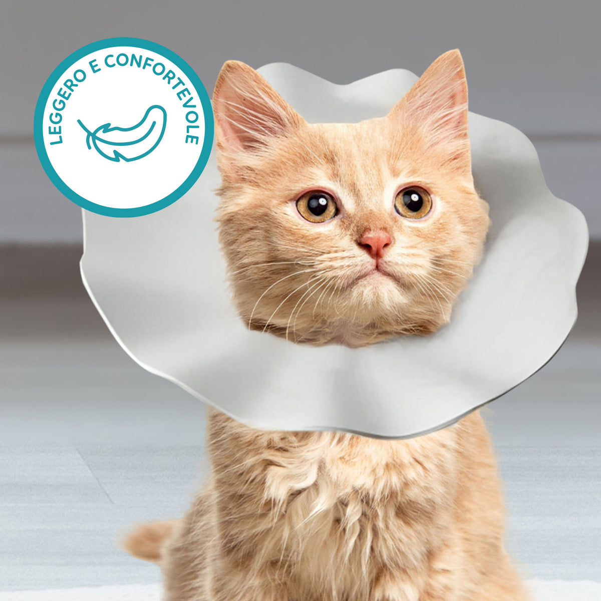 AQPET FRIENDS Collerette élisabéthaine souple pour chats et animaux, en plastique flexible et léger, double couche, réglable et confortable, protection post-opératoire et des plaies