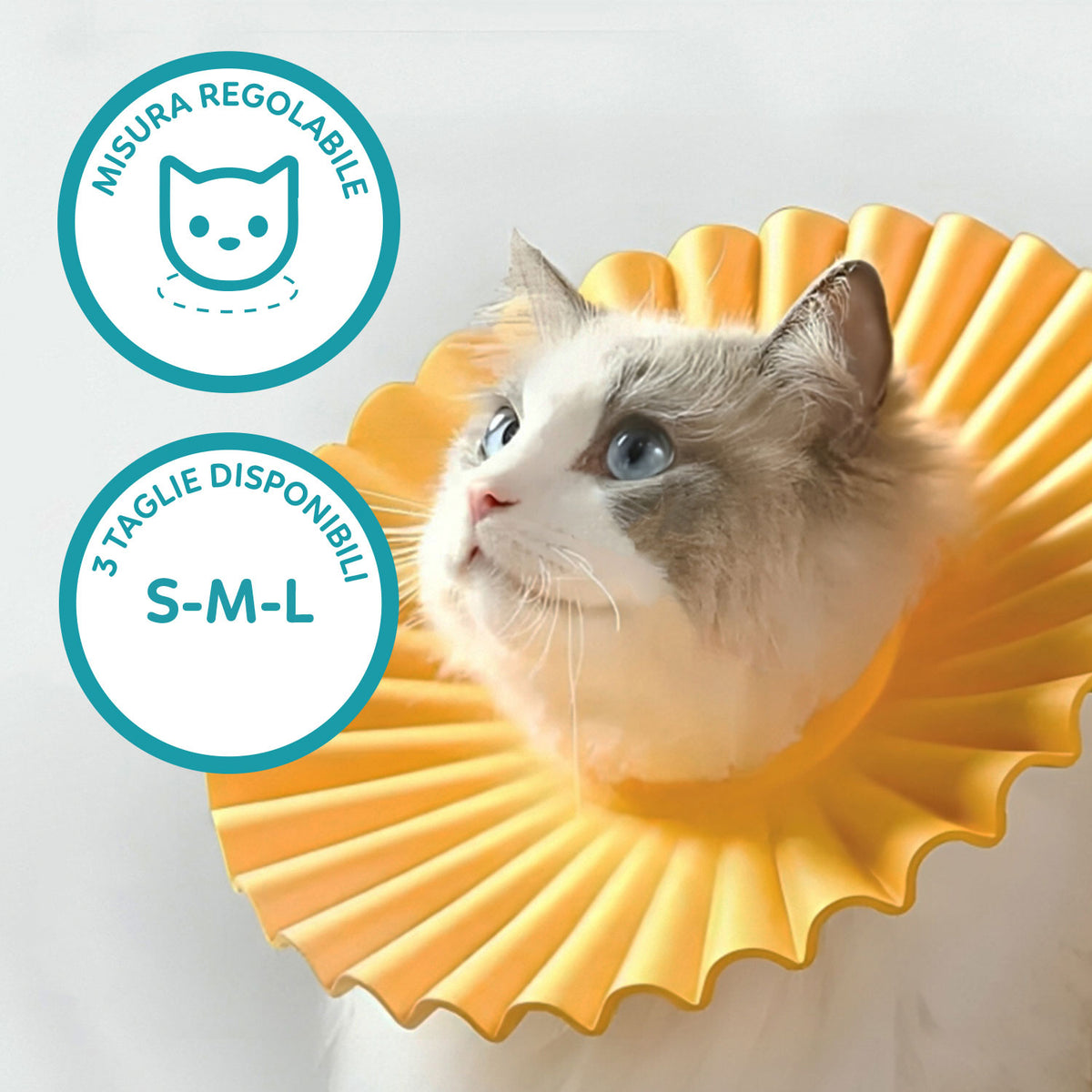 AQPET FRIENDS Collerette élisabéthaine souple pour chats et animaux, en plastique flexible et léger, double couche, réglable et confortable, protection post-opératoire et des plaies
