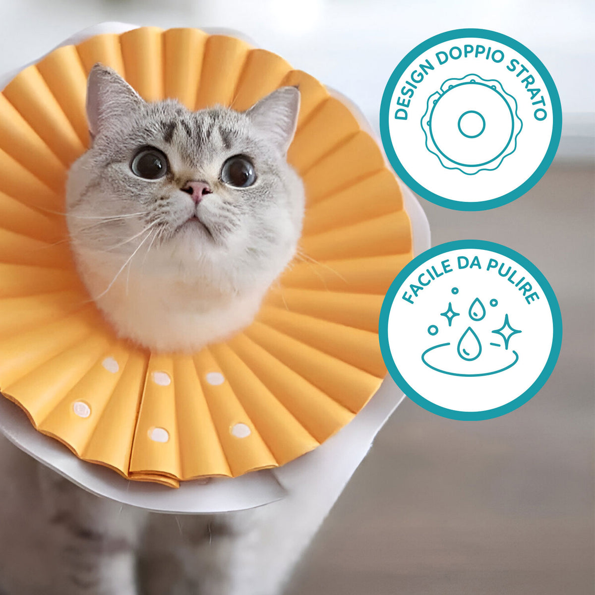 AQPET FRIENDS Collerette élisabéthaine souple pour chats et animaux, en plastique flexible et léger, double couche, réglable et confortable, protection post-opératoire et des plaies