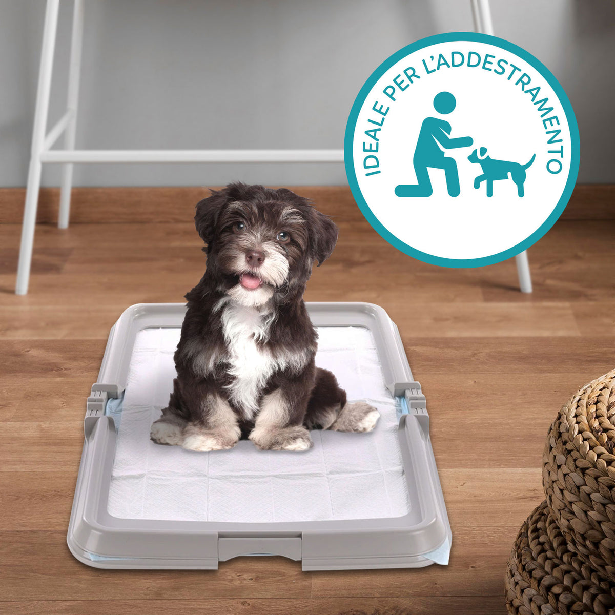 AQPET FRIENDS Bac à litière pour chiens, toilette pliable 86x62 cm, plateau pour tapis absorbants, idéal pour l'apprentissage des chiots et l'utilisation à la maison