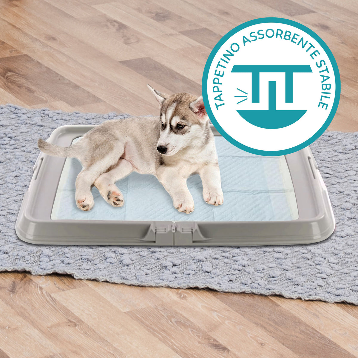 AQPET FRIENDS Bac à litière pour chiens, toilette pliable 86x62 cm, plateau pour tapis absorbants, idéal pour l'apprentissage des chiots et l'utilisation à la maison