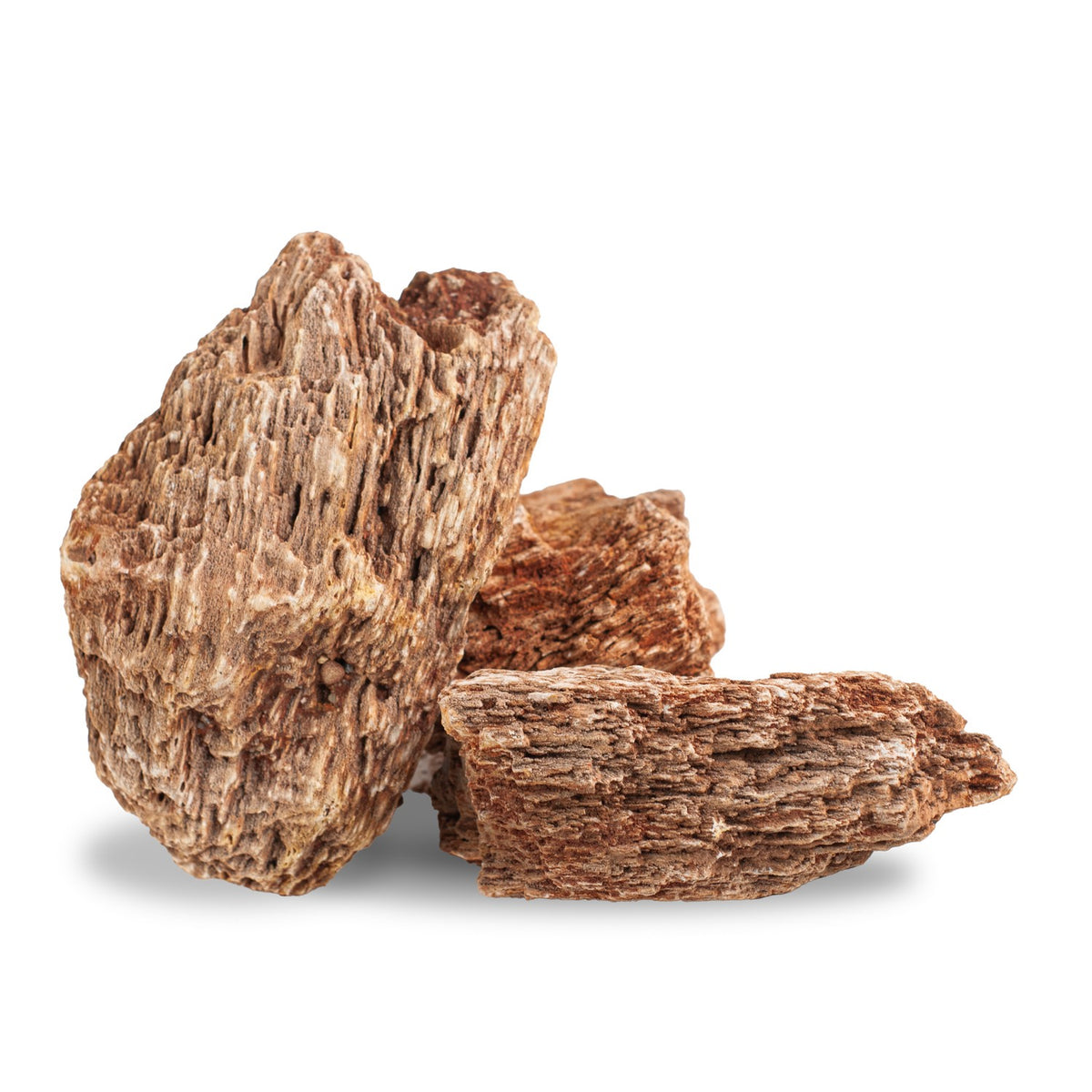 AQPET ZEN STONE ROCCE FOSSILE DE BOIS ROUGE (CONF. 20KG MIXTE)