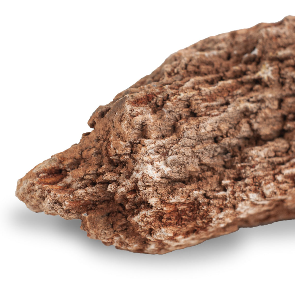 AQPET ZEN STONE ROCCE FOSSILE DE BOIS ROUGE (CONF. 20KG MIXTE)