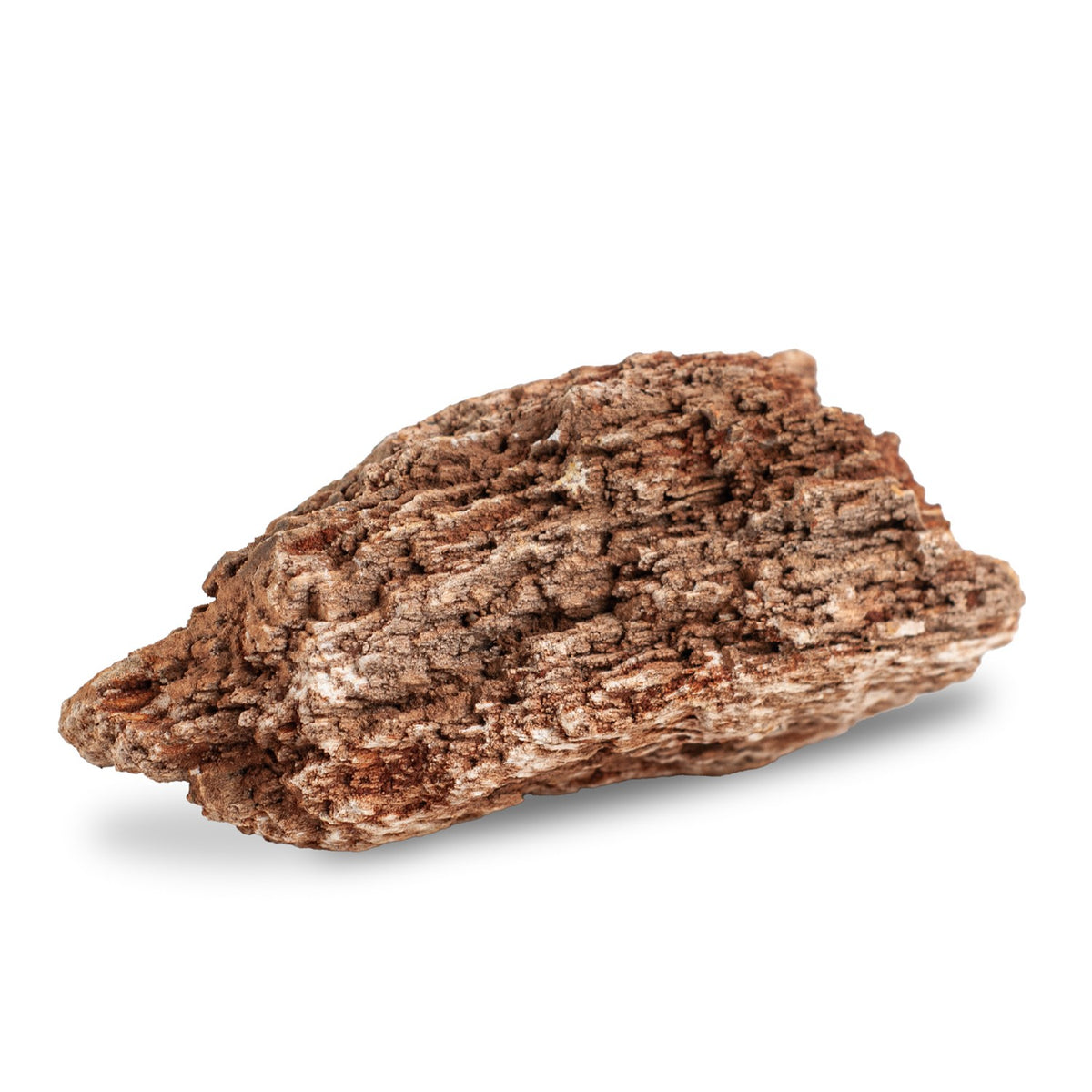 AQPET ZEN STONE ROCCE FOSSILE DE BOIS ROUGE (CONF. 20KG MIXTE)