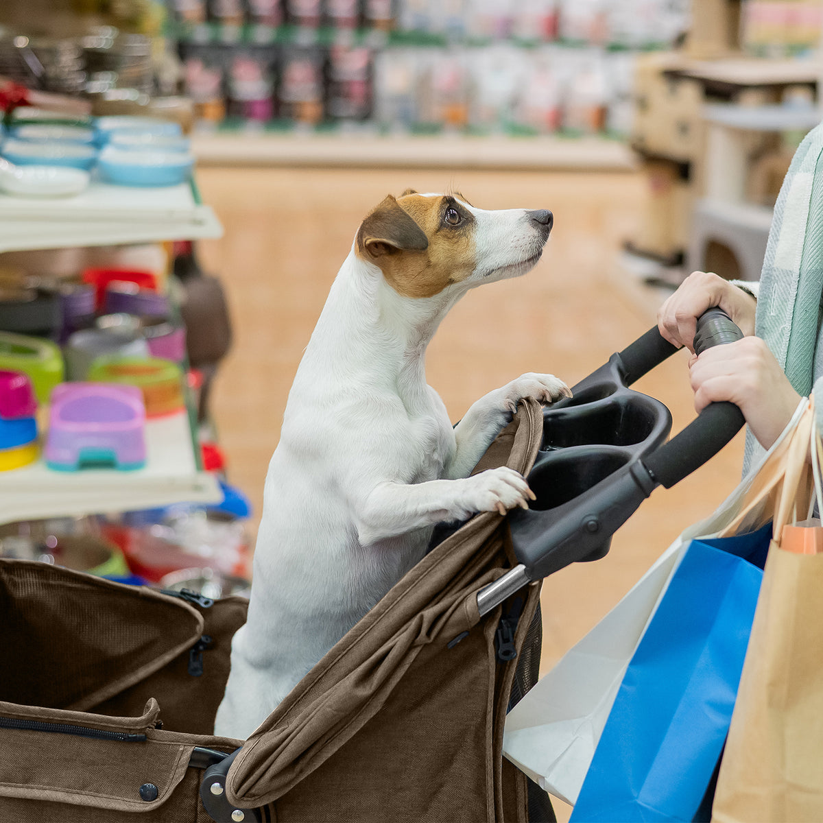 AQPET FRIENDS Poussette confortable et pratique pour chiens de taille moyenne / petite, pour chiens et chats, voyage en toute sécurité