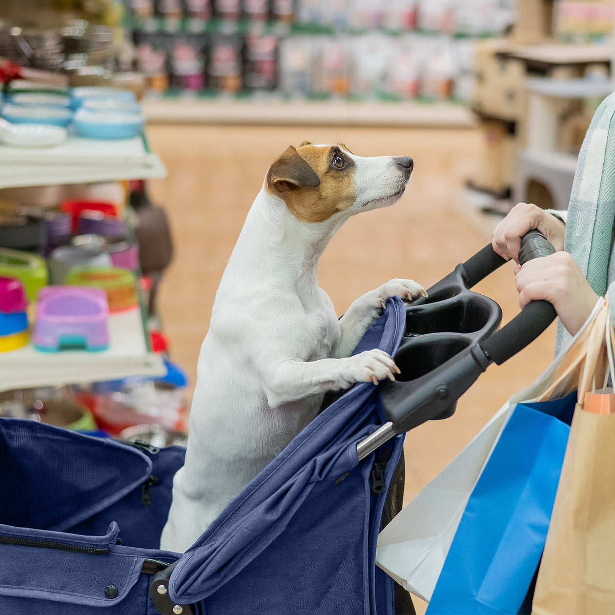 AQPET FRIENDS Poussette confortable et pratique pour chiens de taille moyenne / petite, pour chiens et chats, voyage en toute sécurité