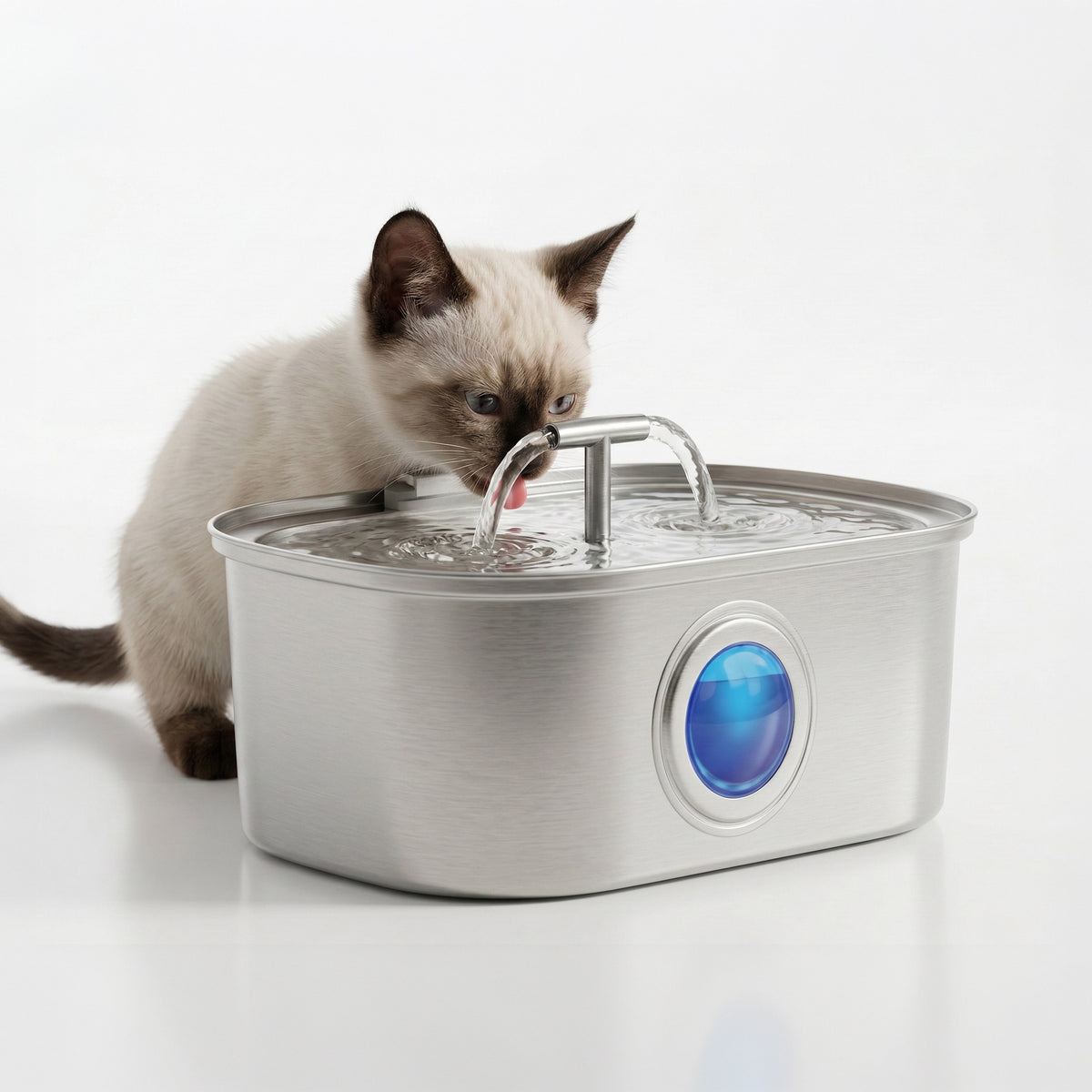 AQPET FRIENDS Fontaine pour chats en acier inoxydable 3.2L – Distributeur d’eau automatique ultra-silencieux avec filtre multicouche – Fontaine pour chats et chiens, eau toujours propre