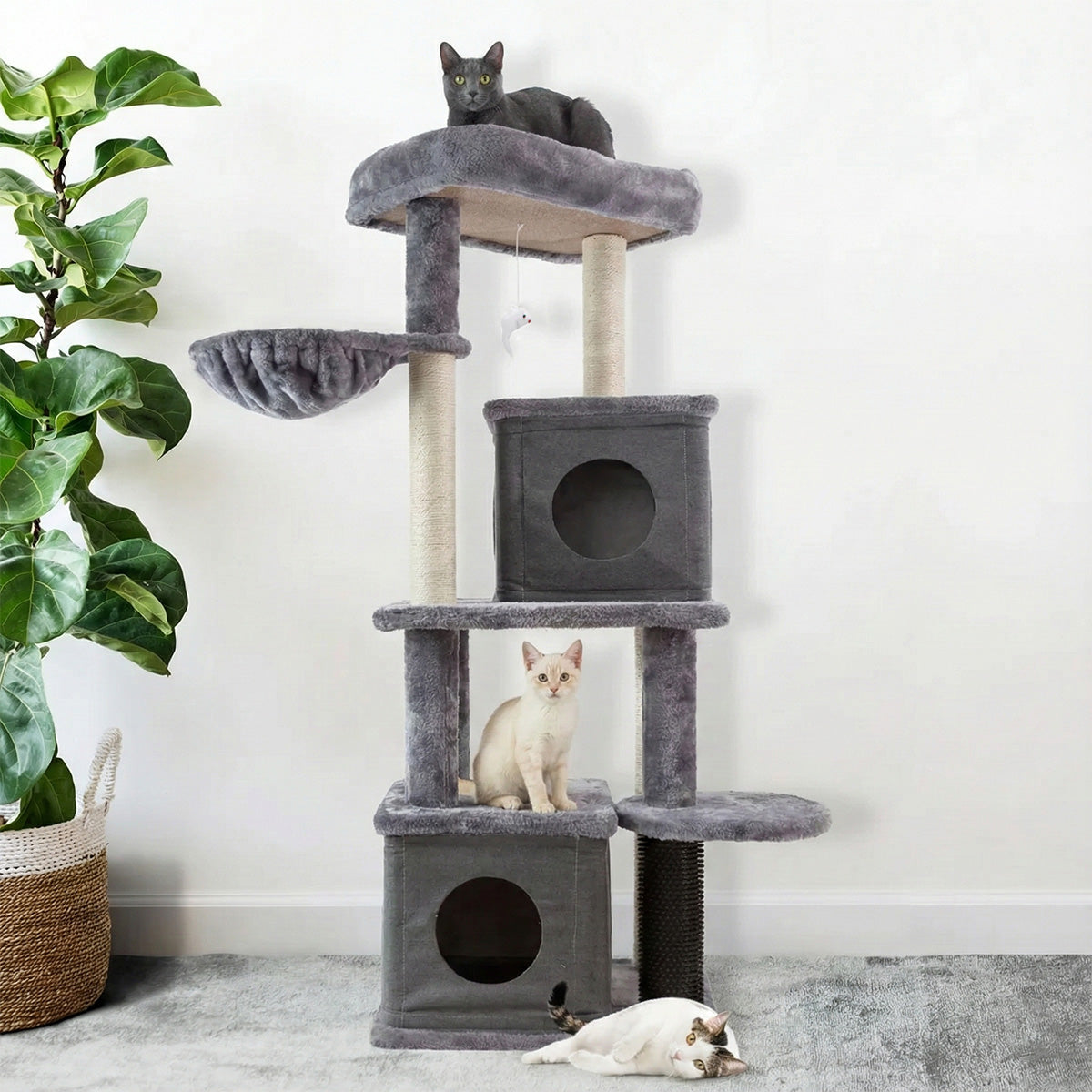 AQPET FRIENDS griffoir London 48X44X125 Cm H pour chats, jeu, détente et divertissement