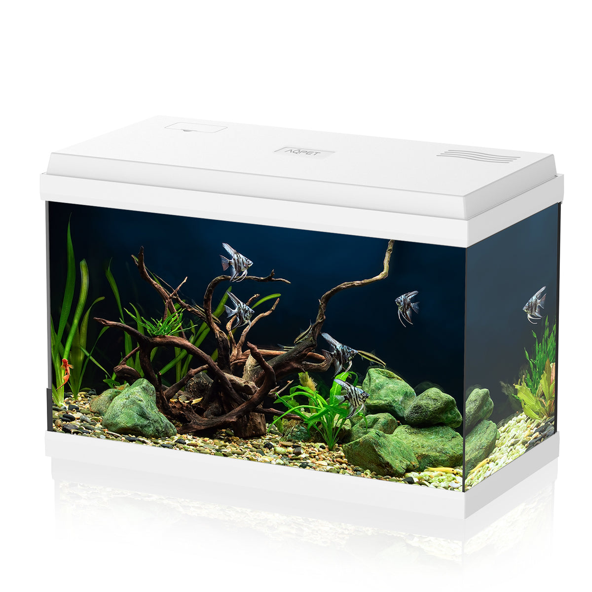 AQPET AQUARIUM SIMPLY LED 60 BLANC COMPLET AVEC ÉCLAIRAGE, FILTRE ET CHAUFFAGE - 59X30X39 H CM