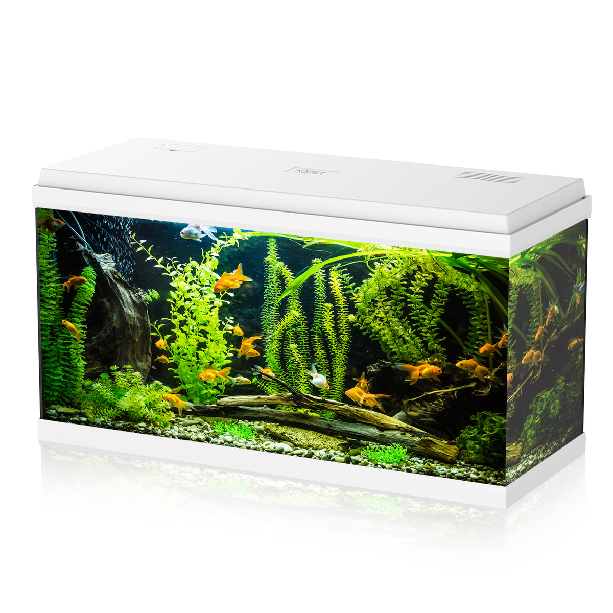 AQPET AQUARIUM SIMPLY LED 100 BLANC COMPLET AVEC DOUBLE ÉCLAIRAGE, FILTRE ET CHAUFFAGE - 80X32X45 H CM