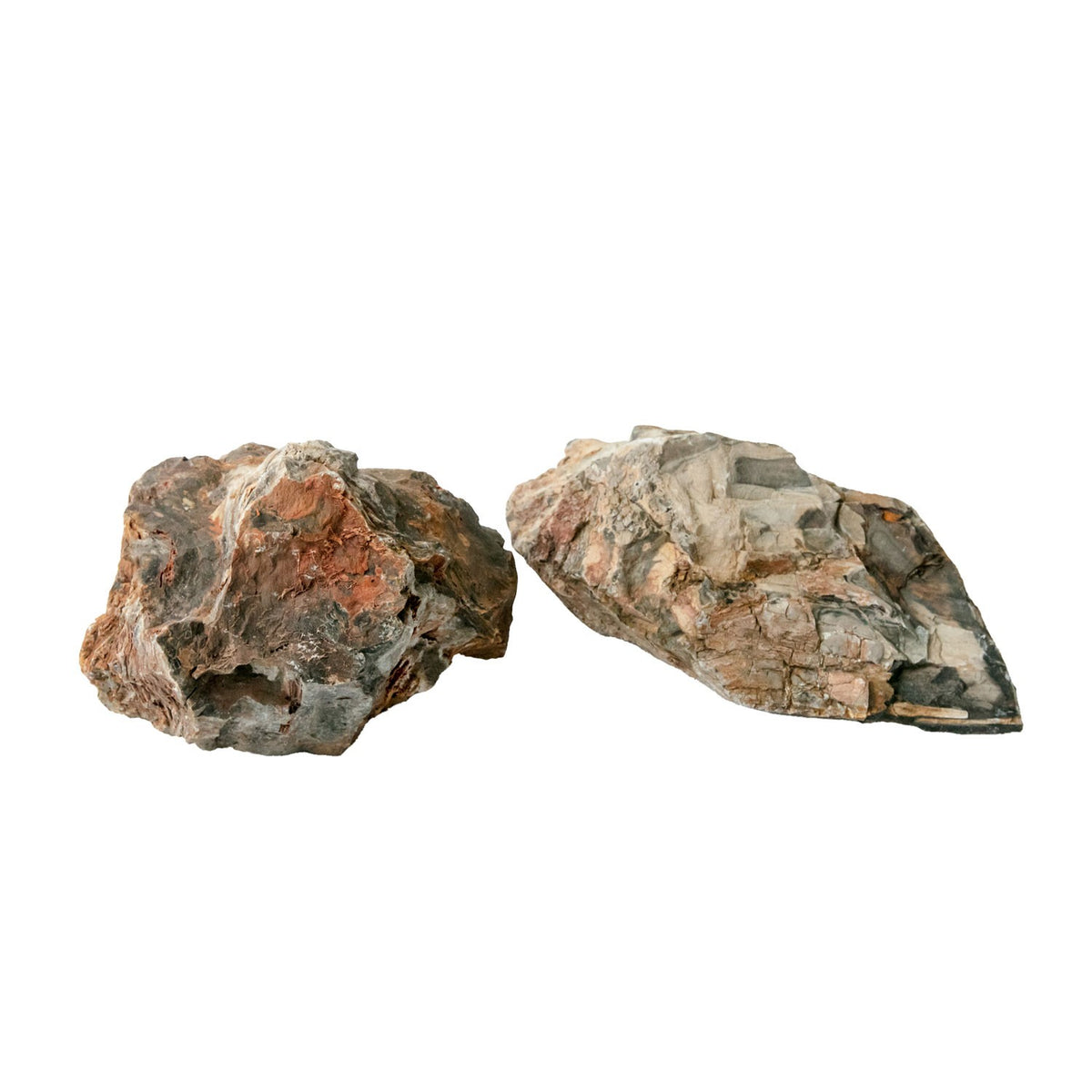 AQPET ZEN STONE ROCCE FOSSILE DE BOIS (CONF. 20KG MIXTE) 300GR /3 KG